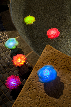 LED Light Garden