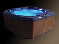 LED Spa Light
