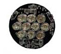 LED10 Bulb